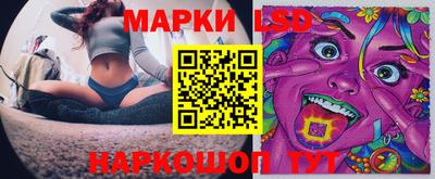 гидропоника Будённовск