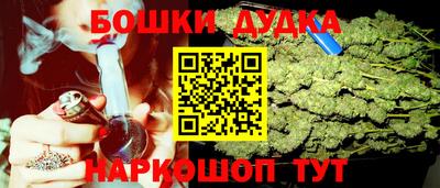 гидропоника Будённовск