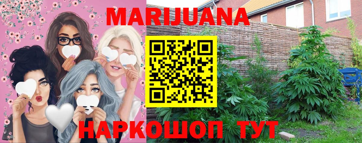 Марихуана Bruce Banner Черногорск
